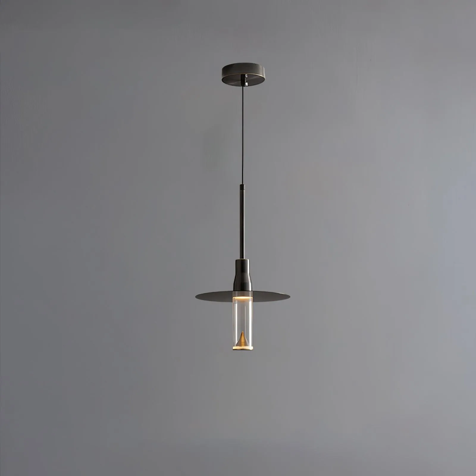 Acrylic Hat Plate Pendant Light