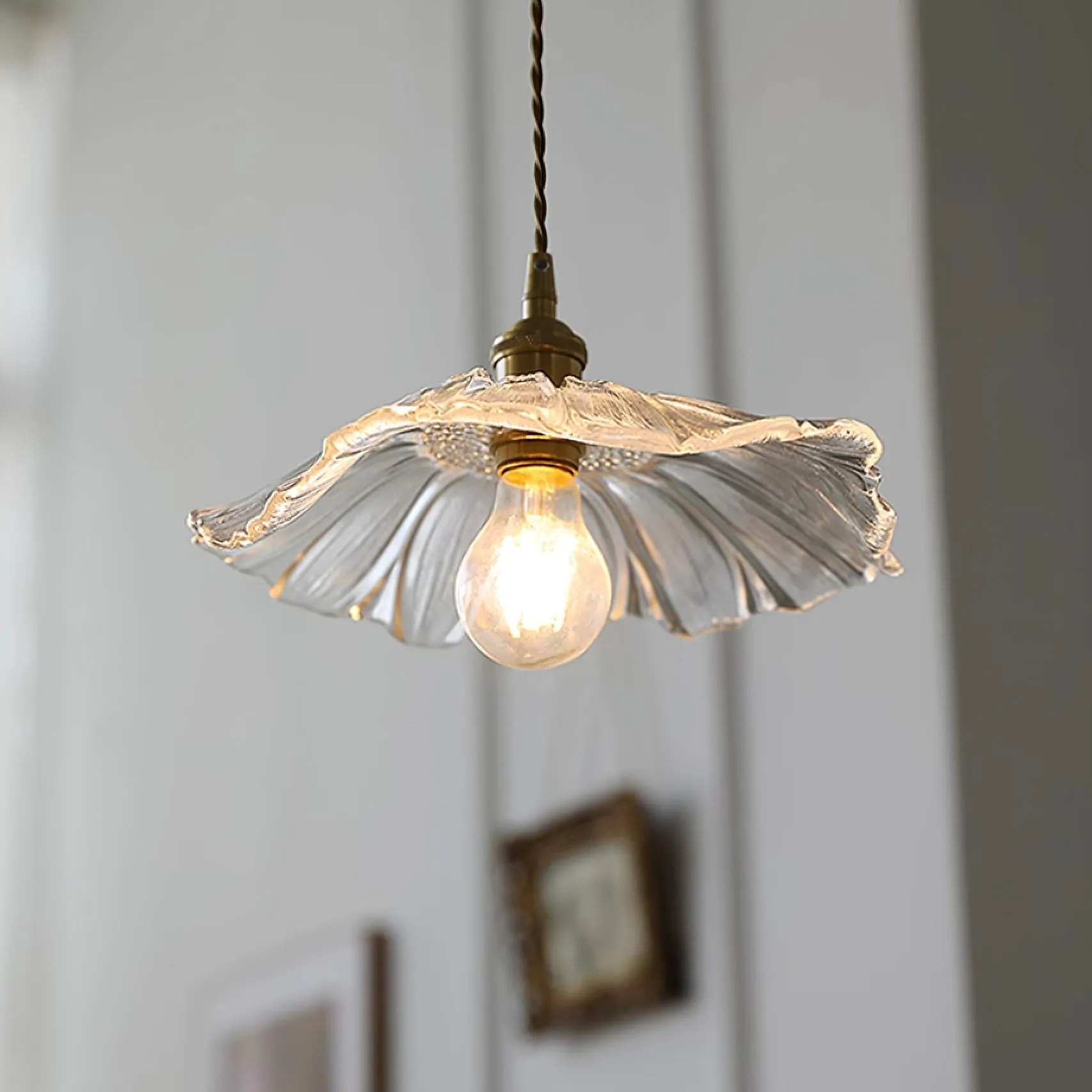 Flower Glass Plug In Pendant Lamp