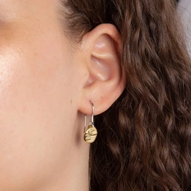 Ripple Effect Yellow Gold Drop Disc Earrings E6284